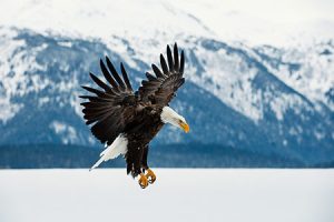 Wood Mackenzie: СПГ из США вдвое экологичнее угля
