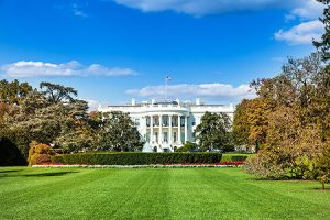 Торговые споры и ОПЕК+ обрушат цены на нефть к 2026 году