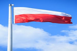 HitecVision инвестирует в польский биогаз через сделку с TotalEnergies
