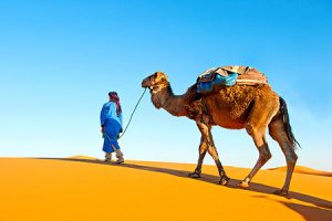 ADNOC анонсирует масштабные сделки с энергокомпаниями США